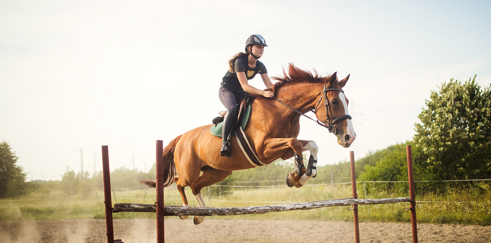 Конно-спортивная база ЦСКА